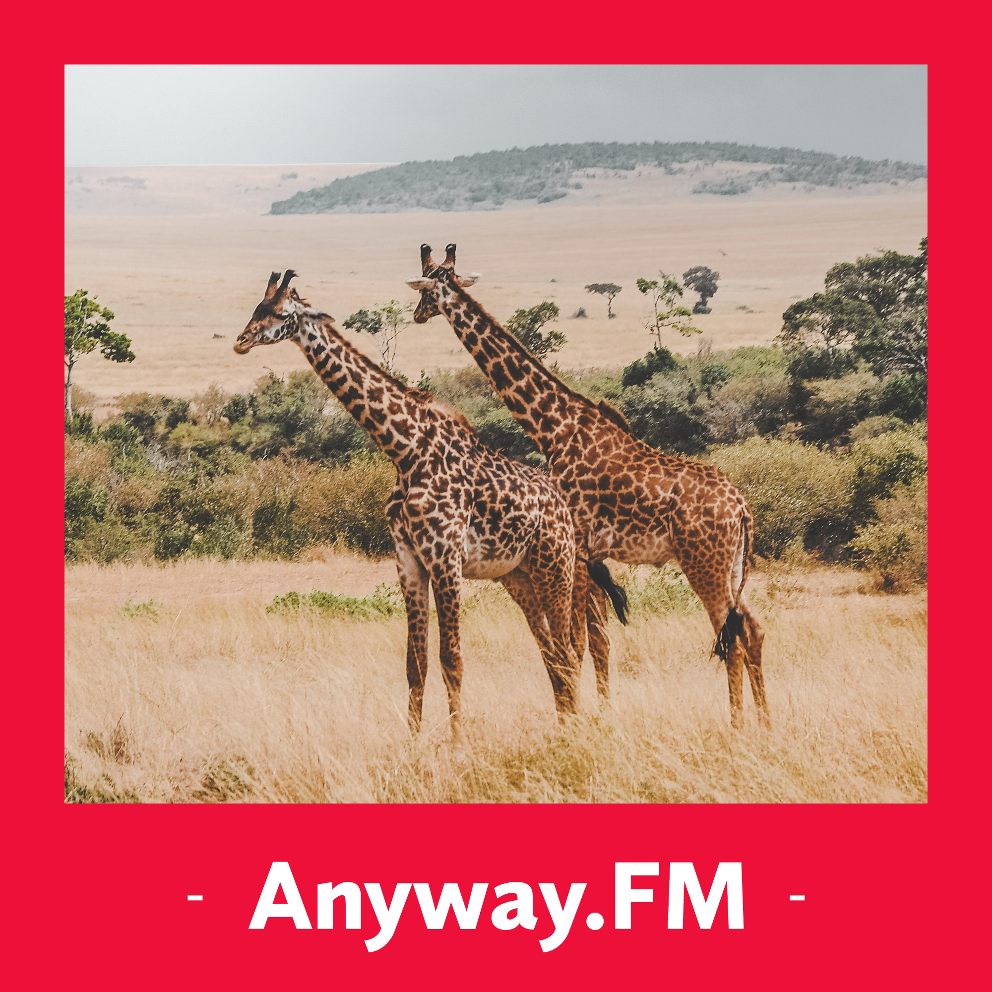 Anyway.FM 设计杂谈