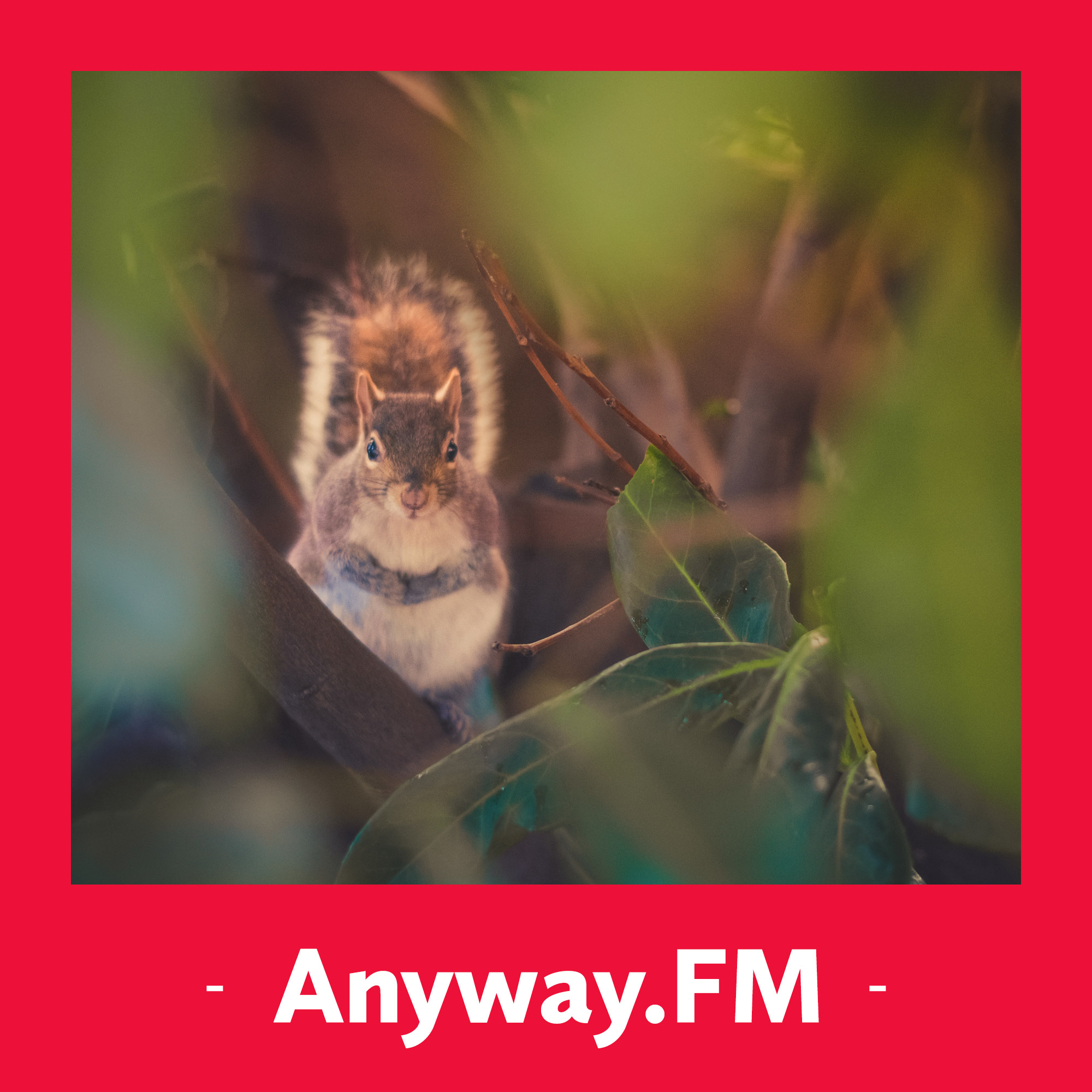 Anyway.FM 设计杂谈
