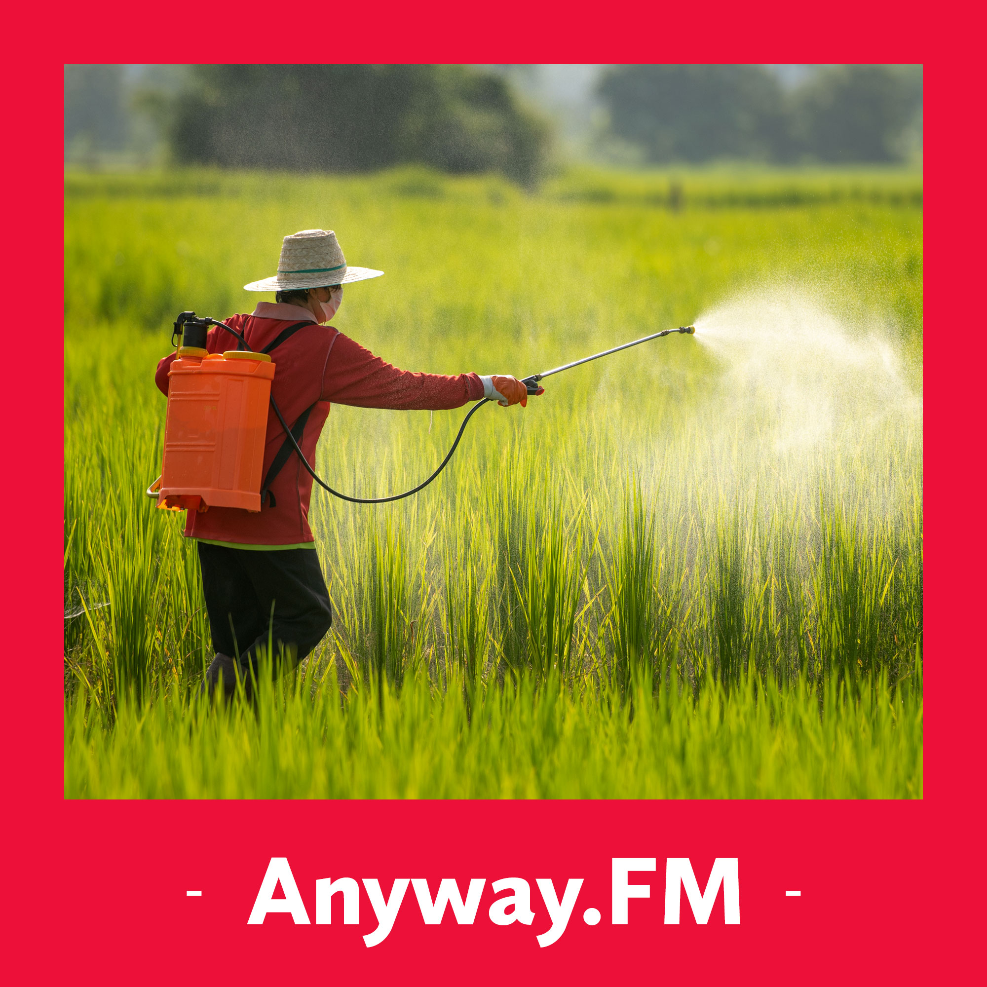 Anyway.FM 设计杂谈